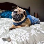 Profile Picture of DELLA (@dellaheller__60) on Instagram