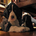 Profile Picture of Linda Summersgill (@linda summersgill) on Flickr