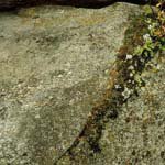 Profile Picture of Ralph_Welch (@ralph_welchj) on Instagram