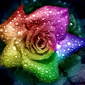 Profile Picture of Kim Hearn (@kimhearn7797) on Youtube