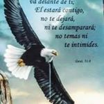 Profile Picture of Pedro L Arbona (@pedrolarbona) on Instagram