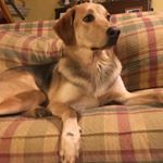 Profile Picture of Michael Gasparino (@gaspo_mj) on Instagram