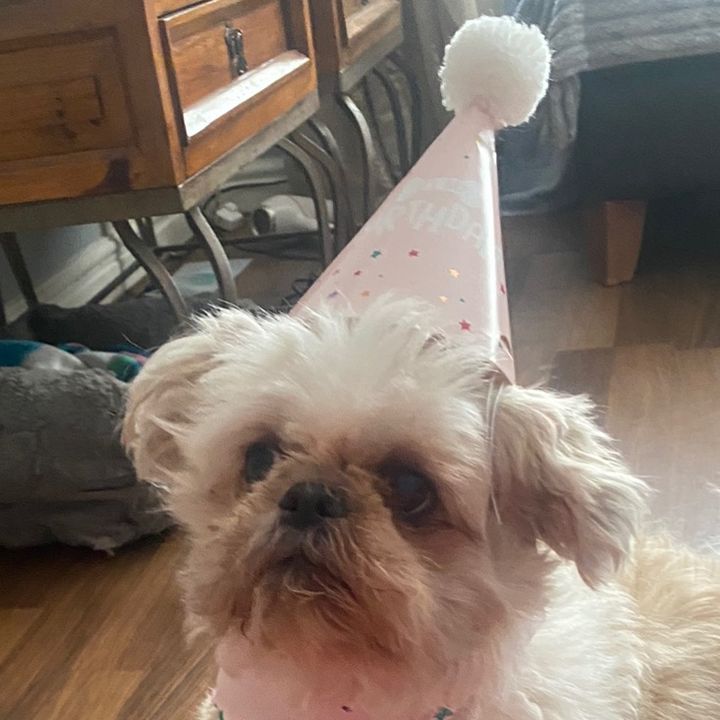 Profile Picture of Joanne (@joannemckenny) on Tiktok