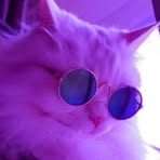 Profile Picture of Justin Tarnowski (@Justin-Tarnowski) on Facebook