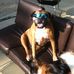 Profile Picture of Paul Cerny (@paul.cerny.927) on Facebook