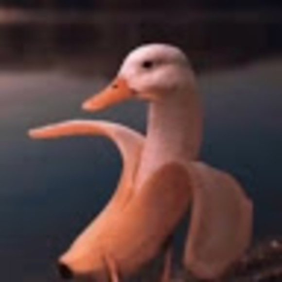 Marissa Ng - Poshmark Profile Picture of Marissa Ng (@risasassy3) on Poshmark