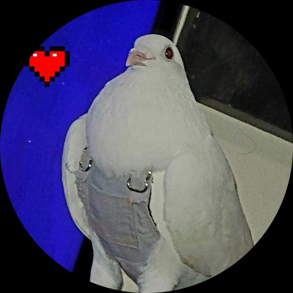 Profile Picture of Brooke Copley (@iloveshopkins) on Poshmark