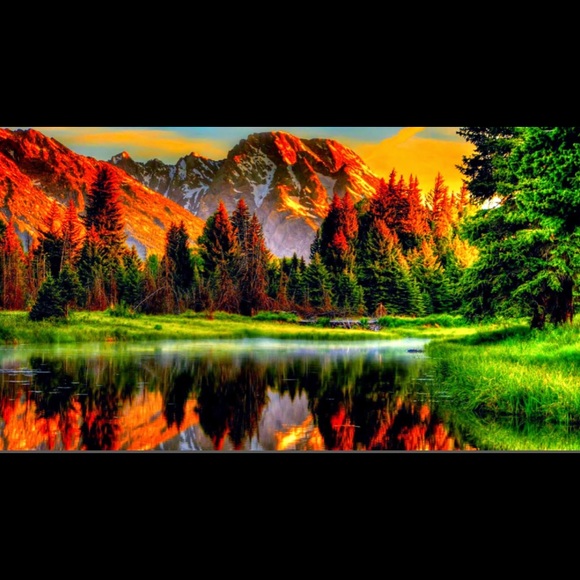 Profile Picture of Monika Slupek (@bronia0) on Poshmark