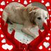 Profile Picture of Cathy Ziegler (@cathy.ziegler.982) on Facebook