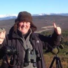 Profile Picture of Brian Clasper (@brianthebirder) on Twitter