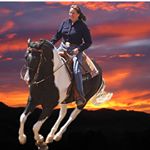 Profile Photo of Heidi McLaughlin (@heidifearlessrider) on Instagram