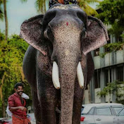 Profile Picture of Swaminathan Iyer (@swaminathaniyer8177) on Youtube