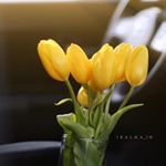 Profile Picture of John Marsi (@j.marsi435) on Instagram