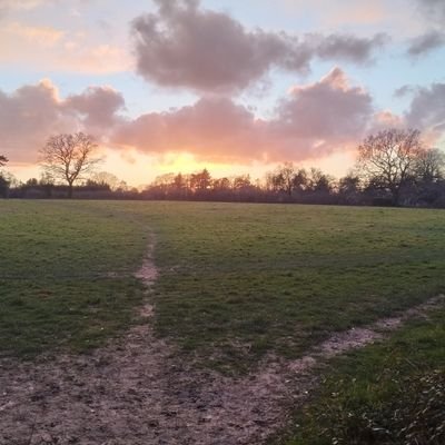 Profile Picture of TomTomasko (@TomaskoTom) on Twitter