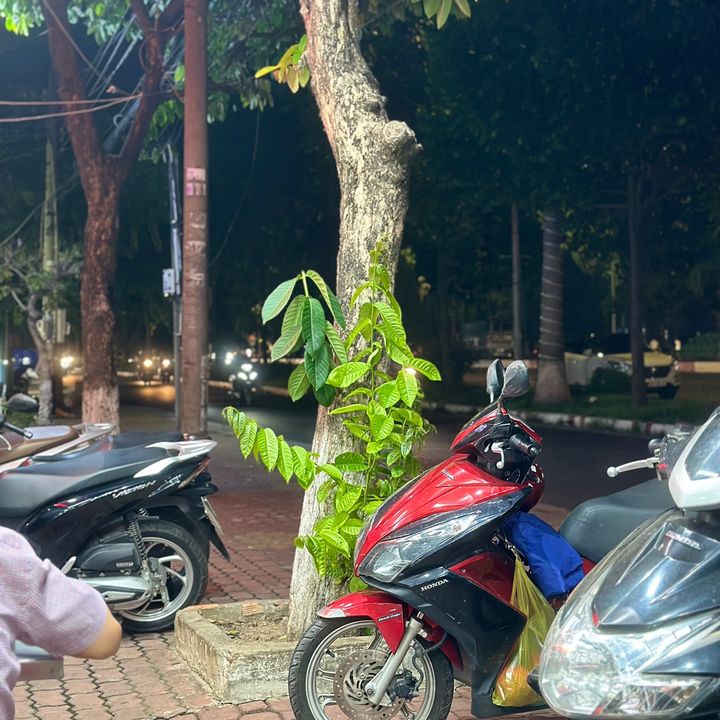 Profile Picture of Zelda me (@zeldame) on Tiktok