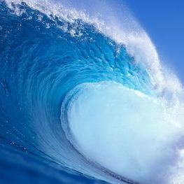 Profile Picture of Michael Schuster (@MShoes2001) on Twitter