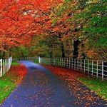 Profile Picture of Franklin Rojop (@dioniciom0215) on Instagram