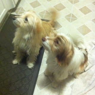 Profile Picture of Derek Calderon (@calderon_derek) on Instagram