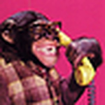 Profile Picture of Leeunkrich (@leeunkrich) on Flickr