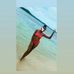 Profile Picture of Suryeth Chariza Scott (sur) (@suryeth.scott.9) on Facebook