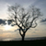 Profile Picture of Brian Howard (@socialpyramid) on Flickr