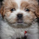 Profile Picture of taylor trainor (@trainortaylor) on Instagram