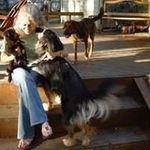 Profile Picture of Linda Zerfoss Sherrick (@zerfosssherrick) on Instagram