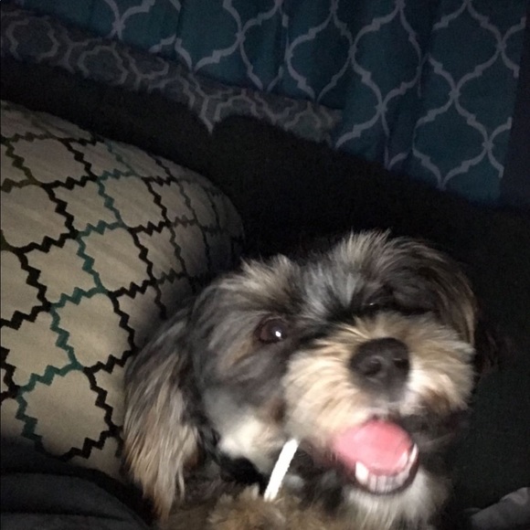 Profile Picture of Michael Trigueros (@michaeltrig) on Poshmark