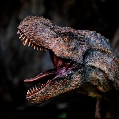 Profile Picture of 永丞Yong Cheng (@yong_cheng666) on Twitter