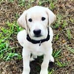 Profile Picture of Collin Bates (@cbates32) on Instagram