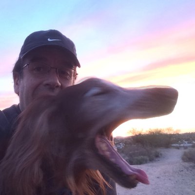 Profile Picture of David Herrera (@davalfher) on Twitter