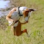 Profile Picture of Ng'arisha Tongaren (@Ngarisha-Tongaren) on Facebook