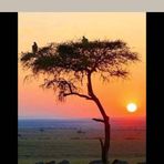 Profile Picture of Andrew Gamah (@Andrew-Gamah) on Facebook