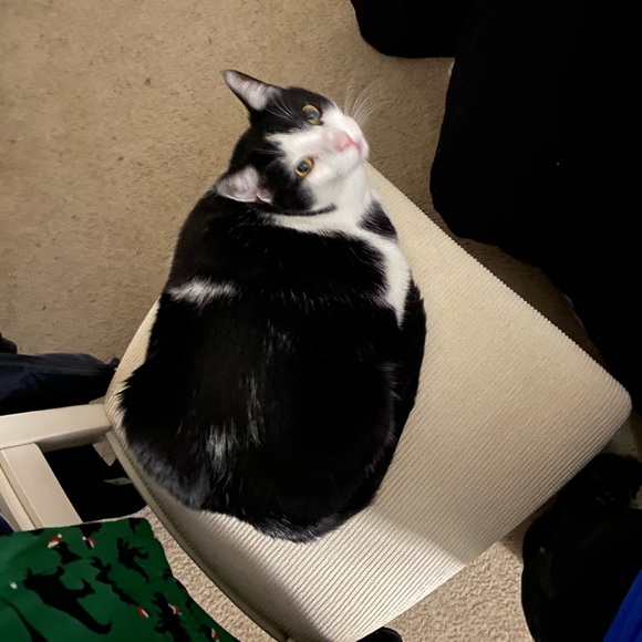 Hannah Dickenson - Poshmark Profile Picture of Hannah Dickenson (@hannahrd24) on Poshmark