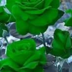 Profile Picture of Lynn Umberger (@Lynn-Umberger) on Facebook