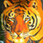 Profile Picture of Abhilash Menon (@crazy_tiger) on Flickr