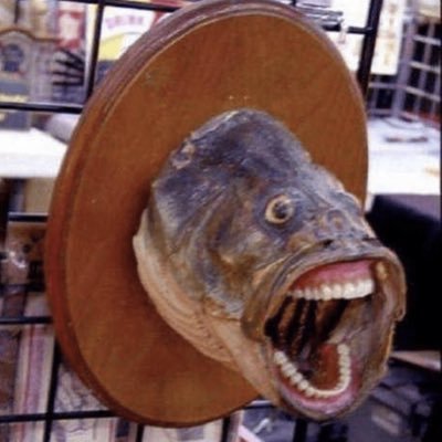 Profile Picture of Jacob Swain (@JacobSwain12) on Twitter