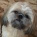 Profile Picture of Cheryl Peck Thomas (@cheryl.thomas11) on Facebook
