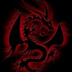 Profile Picture of David Haase (@david.haase) on Tiktok