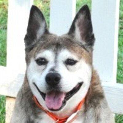 Profile Picture of Chris Walley (@reloader15) on Twitter