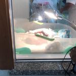 Brianna Raychell taveras v. - Instagram Profile Picture of Brianna Raychell taveras v. (@princesa_brianna07) on Instagram