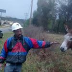 Profile Picture of Ernest Bowman (@bowmanernest) on Instagram