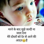 Profile Picture of Prashant amin (@prashantamin9594) on Instagram