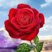 Profile Picture of Albert Hon (@albert.hon.56) on Facebook