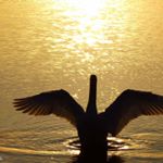 Profile Picture of Robert Ramsay (@edinburghaye2) on Instagram