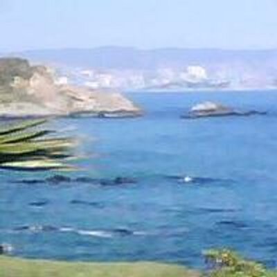 Profile Picture of Cecilia Manriquez (@cecigaviota) on Twitter