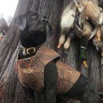 Profile Picture of nathan pepper (@ncpepper40) on Instagram