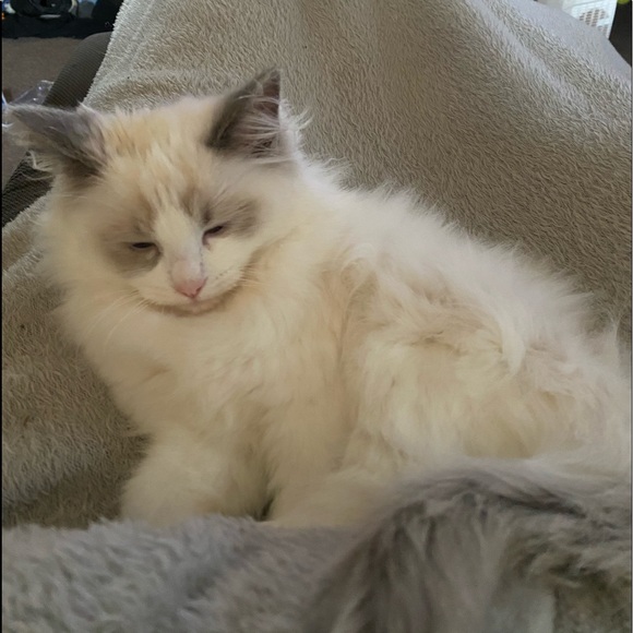 Profile Picture of Sarah Easey (@vermilion667) on Poshmark