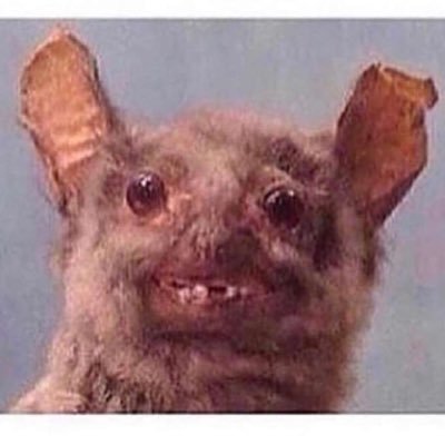 Profile Picture of Benjamin Willcox (@BenjaminWillco3) on Twitter