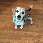 Profile Picture of Beverly Werts (@beverlywerts) on Instagram